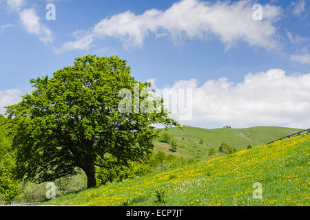 Conca dei Parpari - Verona - Italien Stockfoto