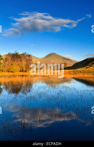 Kelly Hall Tarn im Lake District National Park mit dem Greis Coniston in der Ferne. Stockfoto