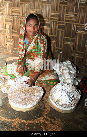 Dhaka 8. Januar 2008. Frau arbeitet bei einer handgedrehten Zigarettenfabrik (genannt ein Bidi) in Haragach. Foto von Jowita khan Stockfoto