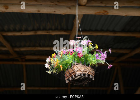 gefälschte Blume hypochondrischen in hängenden Korb für dekorative Haus Stockfoto