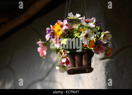 gefälschte Blume hypochondrischen in hängenden Korb für dekorative Haus Stockfoto