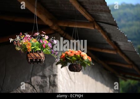 gefälschte Blume hypochondrischen in hängenden Korb für dekorative Haus Stockfoto