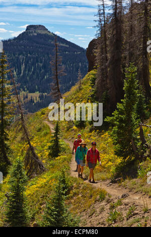 Wanderer zu Fuß in der Nähe von LOBO Punkt, Höhe 7060 Füßen, auf der kontinentalen Wasserscheide - südlichen COLORADO Herr Stockfoto