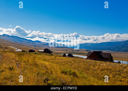 Eine große Rinderfarm im RIO GRANDE VALLEY - südlichen COLORADO Stockfoto