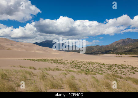 GREAT SAND DUNES NATIONAL PARK enthält die größten Sanddünen in Nord-Amerika - COLORADO Stockfoto