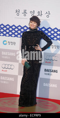 Seouil, Südkorea. 17. Dezember 2014. Kim Hye-soo, südkoreanische Schauspielerin Kim Hye-soo Posen bei einem roten Teppich Event von den Blue Dragon Film Awards in Seoul, Südkorea. © Lee Jae-Won/AFLO/Alamy Live-Nachrichten Stockfoto