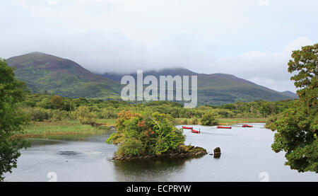 Ross Bay Lough Leane Untersee. Ring of Kerry in Irland. Stockfoto