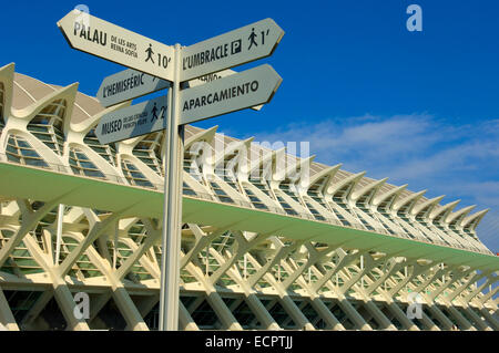 Príncipe Felipe Museum der Wissenschaft, Stadt der Künste und Wissenschaften von S. Calatrava, Valencia, Comunidad Valenciana, Spanien, Europa Stockfoto