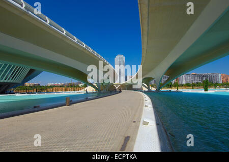 Monteolivete Brücke bei Stadt der Künste und Wissenschaften, von S. Calatrava, Valencia, Comunidad Valenciana, Spanien, Europa Stockfoto