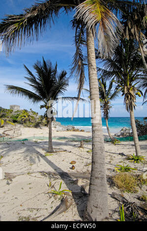 Strand von Maya-Ruinen von Tulum, Quintana Roo Zustand, Riviera Maya, Halbinsel Yucatan, Mexiko Stockfoto