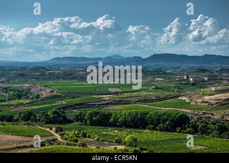 Weinberge von San Asensio, mit San Vicente De La Sonsierra Hintergrund. La Rioja, Spanien Stockfoto