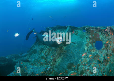 Freediver taucht auf das Schiffswrack SS Thistlegorm (British bewaffnet Schiff der Handelsmarine), Rotes Meer, Ägypten Stockfoto