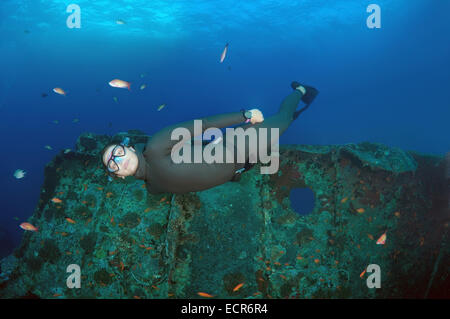 Freediver taucht auf das Schiffswrack SS Thistlegorm (British bewaffnet Schiff der Handelsmarine), Rotes Meer, Ägypten Stockfoto