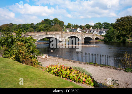 Der River Cree, Newton Stewart, Dumfries and Galloway, Schottland, Großbritannien Stockfoto