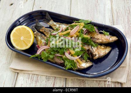 Sardine (Sardelle) Mahlzeiten Stockfoto