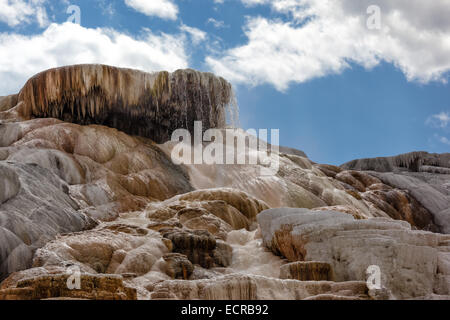 Minerva Terrasse bei Mammoth Hot Springs Yellowstone Nationalpark USA Wyoming Stockfoto