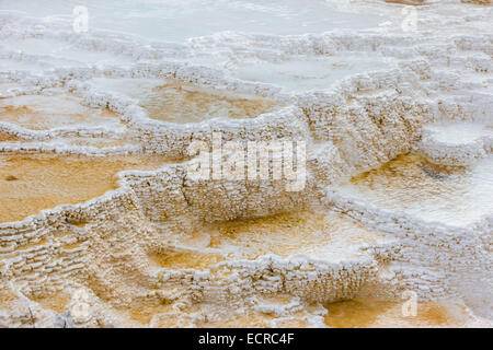 Travertin-Terrassen am Mammoth Hot Springs Yellowstone Nationalpark USA Wyoming Stockfoto