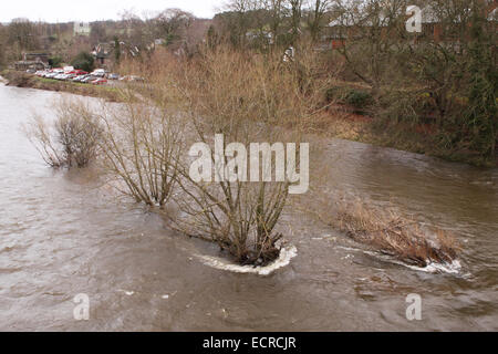 Hay-on-Wye, ausgestellt Powys, UK 18. Dezember 2014 - The Environment Agency eine Flut Alert für diesen Abschnitt des Flusses Wye entlang der Grenze zwischen Wales und England nach tagelangen starken Regenfällen ist den Fluss geschwollen. Stockfoto