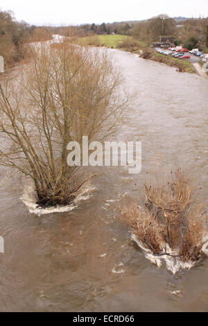 Hay-on-Wye, ausgestellt Powys, UK 18. Dezember 2014 - The Environment Agency eine Flut Alert für diesen Abschnitt des Flusses Wye entlang der Grenze zwischen Wales und England nach tagelangen starken Regenfällen ist den Fluss geschwollen. Stockfoto