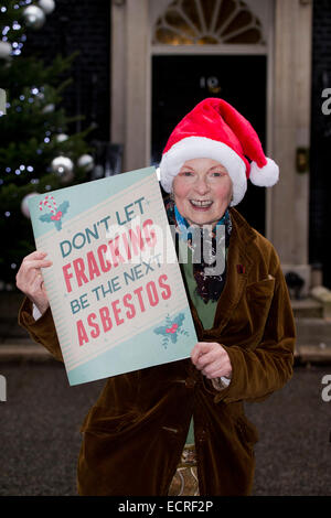 London, UK. 18. Dezember 2014. Vivienne Westwood liefert einen Brief an David Cameron in der Downing Street aus Protest für Anti-Fracking in Großbritannien. Bildnachweis: Sebastian Remme/Alamy Live-Nachrichten Stockfoto