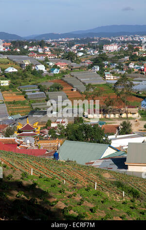 Ansicht von Gewächshäusern wachsen Pflanzen und Gemüse für den Hausgebrauch und Verbrauch im Becken Da Lat, Vietnam exportiert. Stockfoto