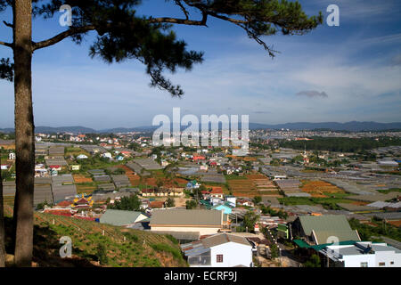 Ansicht von Gewächshäusern wachsen Pflanzen und Gemüse für den Hausgebrauch und Verbrauch im Becken Da Lat, Vietnam exportiert. Stockfoto