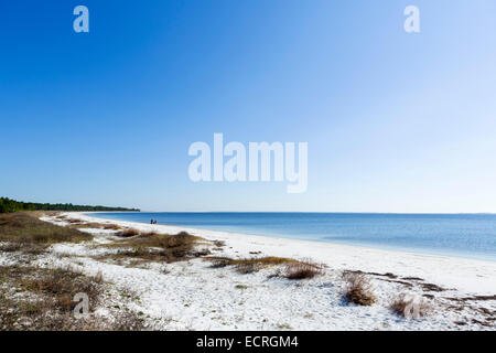 Carrabelle Strand von US 98 östlich von Apalachicola, Franklin County, Golfküste, Florida, USA Stockfoto