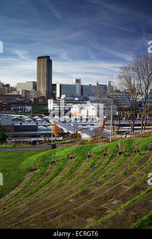 UK, South Yorkshire, Sheffield City Centre Skyline von Garbe Valley Park, Park Hill Stockfoto