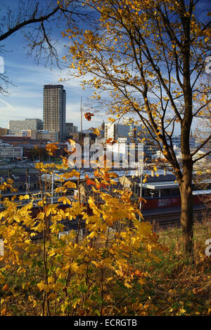 UK, South Yorkshire, Sheffield City Centre Skyline vom Park Hill Stockfoto