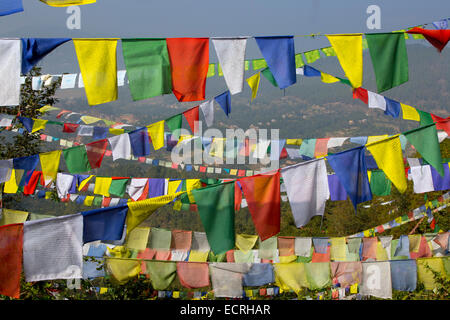 Gebetsfahnen im Namo Buddha Heiligtum auf einem Hügel am 1982 Mtr wichtiger Wallfahrtsort im Zentrum Panauti Nepal Stockfoto