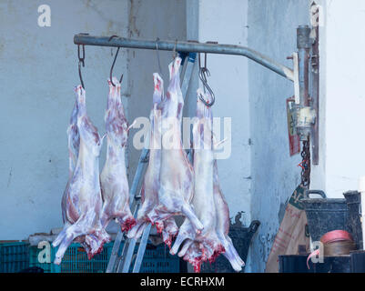 Vor kurzem geschlachteten Lämmer hängen in Schuppen auf kleinen Farm in den Bergen von Gran Canaria Stockfoto