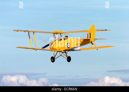 Eine De Havilland DH.82A Tiger Moth, G-ANEH / N-6797 auf der 2005 RNAS Yeovilton International Air Tag, Somerset, Vereinigtes Königreich. Stockfoto
