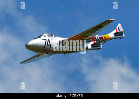 De Havilland Vampire T.11, WZ507, im Cotswold Airshow, Kemble, Gloucestershire, 20. Juni 2010. Stockfoto