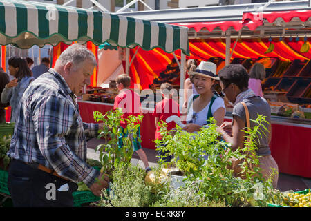 BAUERNMARKT AM PLAVE GUILLAUME II STADTPLATZ, LUXEMBURG STADT, LUXEMBURG, LUXEMBURG Stockfoto