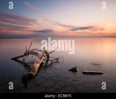 Treibholz und Felsen in einem See bei Sonnenuntergang Stockfoto