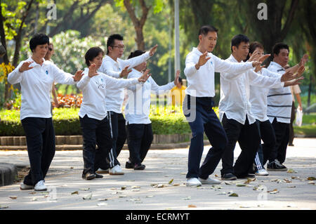 Horizontale Ansicht von Menschen praktizieren Tai Chi im Lumphini-Park in Bangkok. Stockfoto