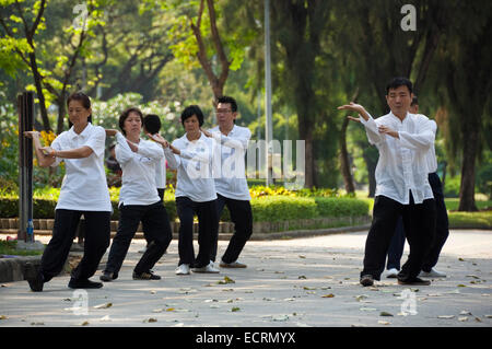 Horizontale Ansicht von Menschen praktizieren Tai Chi im Lumphini-Park in Bangkok. Stockfoto