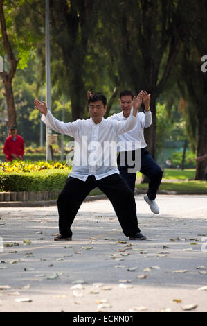 Vertikale Ansicht von Menschen praktizieren Tai Chi im Lumphini-Park in Bangkok. Stockfoto