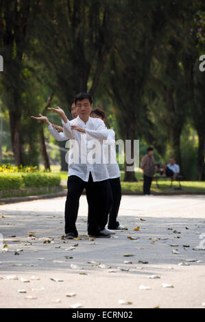 Vertikale Ansicht von Menschen praktizieren Tai Chi im Lumphini-Park in Bangkok. Stockfoto