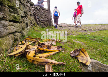 Bananenschalen links durch rücksichtslose Wanderer auf dem Gipfel des Penyghent in den Yorkshire Dales, UK. Stockfoto