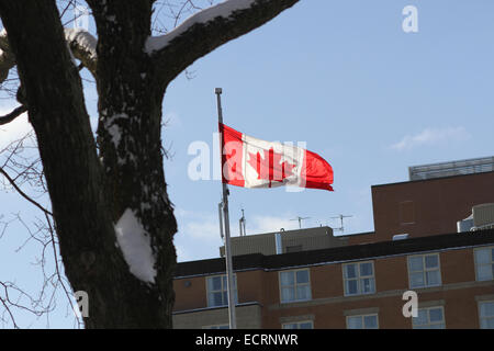 Die kanadische Flagge gezeigt in Quebec, Kanada. Stockfoto