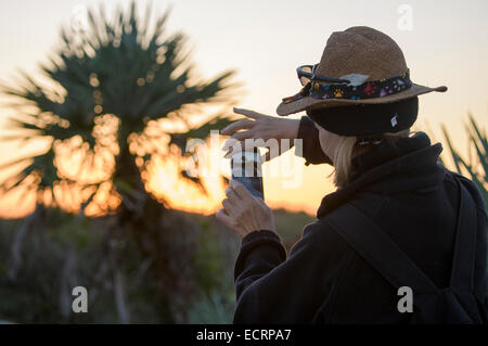 Reife Frau Foto mit Ihrem Smartphone Stockfoto