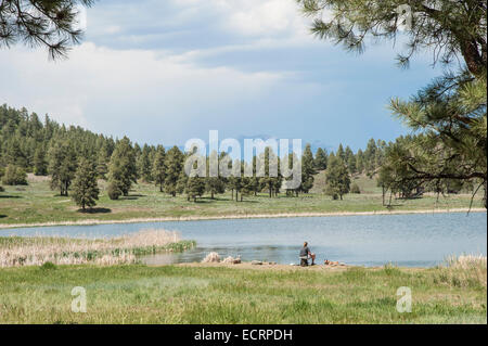 Bergsee in der Nähe von Pagosa Springs, Colorado Stockfoto