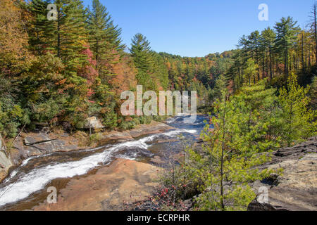 Malerischen Fluss im Herbst bei Toxaway Fälle, Nord-Carolina Stockfoto