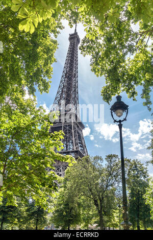 Paris. Eiffel Tower-Blick durch die Bäume. Eiffelturm Paris umrahmt von grünen Blättern im Juni. Stockfoto