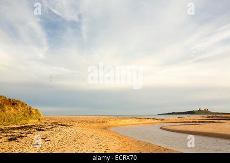 Ein Fluss in die Nordsee bei Newton Links, Northumberland, UK mit Dunstanburgh Castle im Hintergrund und einen Strang rosa Footed Gänse fliegen über. Stockfoto