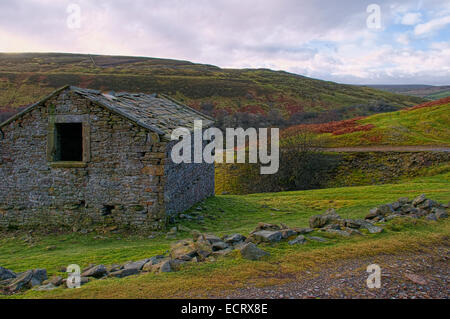 Eine typische Szene aus Swaledale in den Yorkshire Dales National Park, davon etwa 2 Meilen von Keld auf die Küste zu Küste-pat Stockfoto