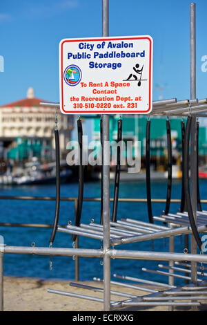 Paddleboard Lagerregal in Avalon, Catalina Island, Kalifornien. Das berühmte Casino Gebäude verschwommen im Hintergrund. Stockfoto