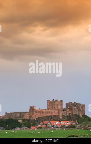 Bamburgh Castle, Northumberland, England, Vereinigtes Königreich, Europa Stockfoto