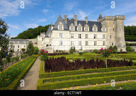 Villandry Schloss und Gärten, Château de Villandry, Indre-et-Loire, Touraine, Loiretal, Frankreich, Europa Stockfoto